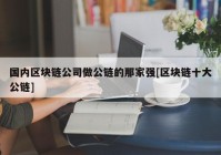 国内区块链公司做公链的那家强[区块链十大公链]